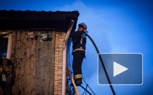 Калейдоскоп городских будней: обзор происшествий в Северной столице