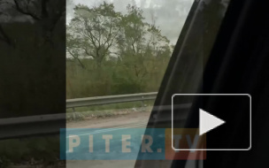 Видео: на Выборгском шоссе "девятка" попала под самосвал