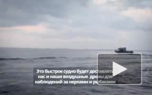Фонд друзей балтийской нерпы представил скоростное судно для мониторинга подводной обстановки