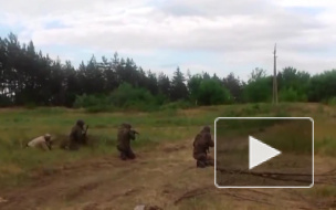 Новости часа: 31 октября, 16.00