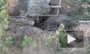 FPV-дроны уничтожили опорный пункт ВСУ на донецком направлении