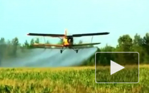 Под Волгоградом разбился легкомоторный самолет, пилот погиб