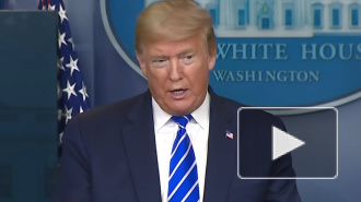 Трамп предложил лечить коронавирус при помощи солнечного света