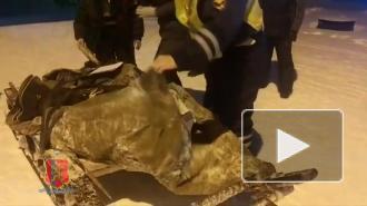 В Красноярском крае полиция изъяла незаконно выловленную ценную рыбу