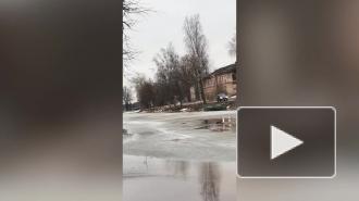 В Новой Ладоге мужчина прыгнул в ледяную воду, чтобы спасти тонущую собаку