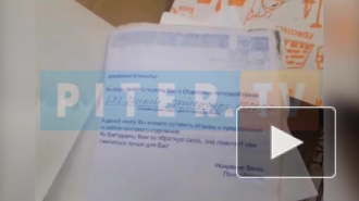 В Выборгском районе на помойку выбросили документы клиентов Почты России