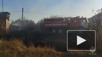 В Воронежской области локализовали ландшафтный пожар