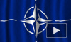 СМИ: НАТО рушится под ударами коронавируса