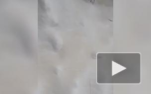 Жители российского города пожаловались на желтый снег