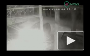 Мужчина, пытавшийся затащить девочку в машину в Новой Ладоге, сам пришел в полицию