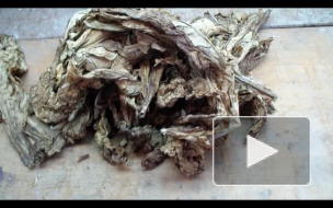 Хитрые контрабандисты пытались провезти в Россию табак под видом плитки