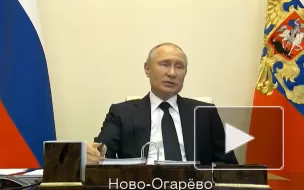 Путин подписал закон о мерах поддержки граждан и бизнеса