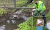 Росприроднадзор проверяет реку Славянку после сообщений об ее загрязнении