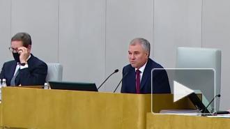 Володин возмутился порядком рассмотрения в Госдуме законопроекта об изъятии детей