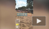 Видео: на Суздальских озерах утонул 30-летний петербуржец