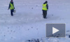 Видео очевидца: в Чувашии засеяли травой сугробы 