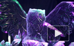 Петербург потратит 242 миллиона на гирлянды и елки к Новому году