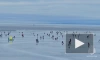 В Петербурге 35 рыбаков отправились в плавание на оторвавшейся льдине