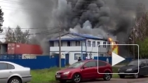 Появилось видео сильного пожара на заводе в Ольгино