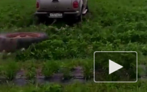 Хабаровский чиновник разгромил на своем внедорожнике клубничную плантацию начинающего фермера