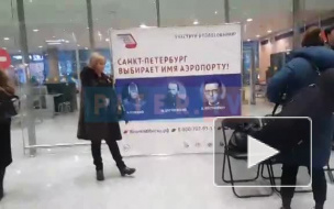 В Пулково началась подготовка к струнному концерту