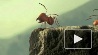 Мультфильм "Букашки. Приключение в долине муравьев" (2014) выходит на экраны