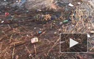 На Свердловской набережной обнаружили мусор и солому