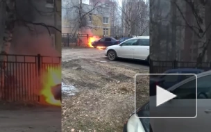 Видео: на проспекте Косыгина потушили синий автомобиль Renault