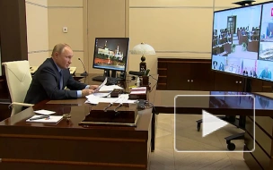 Путин не видит оснований для содержания ректора "Шанинки" под стражей