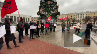 В Петербурге проходит климатический митинг
