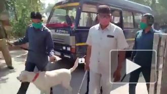 Туристов эвакуировали из Тадж-Махала из-за угрозы взрыва