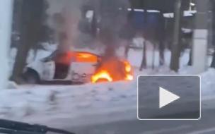 В Курортном районе такси с пассажирами врезалось в дерево и загорелось