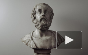 Петербуржцам показали историю греческого искусства в инсталляциях и скульптурах