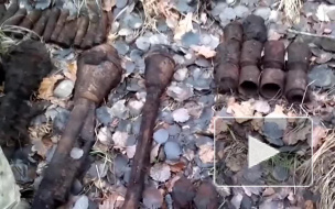 Две гранаты нашли в мусорном баке в Кронштадте
