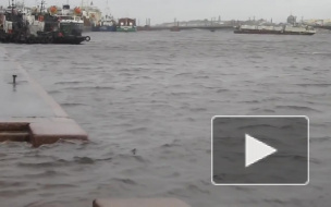 23 сентября Петербург накроет аномальный ветер, опасный для жизни