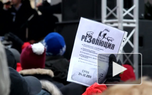 Митинг в Питере 18.12.2011 