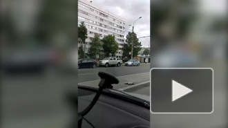 Водитель на BMW снёс остановку на Просвещения