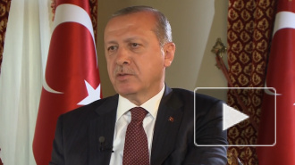 Турция захотела защититься в Сирии от Сирии