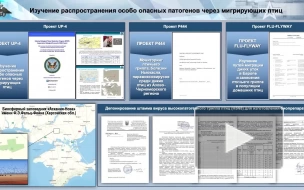 Минобороны изъяло документы о работе ветинститута в Харькове