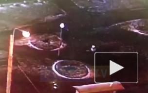 Избиение женщины на остановке общественного транспорта на Коломяжском попало на видео