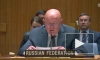 Небензя: Россия распространила в СБ ООН фотосвидетельства обстрела ЗАЭС Украиной