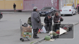 Во Фрунзенском районе идет борьба за Гамбургскую площадь. Зеленая зона или церковь - кто одержит победу?