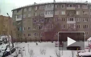 Мужчину, который выбросил из окна собачку в Красноярске, приговорили к исправительным работам
