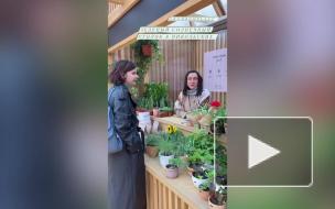 "Никольские ряды" открылись после реконструкции