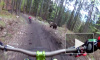 Ужасающее видео из Словакии: медведь устроил погоню за велосипедистом