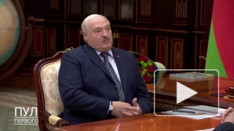 Лукашенко призвал провести выборы так, чтобы "комар носа не подточил"