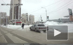 Бросившуюся в Уфе белку под колеса машины засняли на видео 