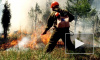 В Забайкалье разоблачены мошенники, выдававшие себя за жертв лесных пожаров