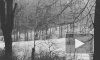 Сильный ветер, снегопад и гололедица испортят четверг в Петербурге