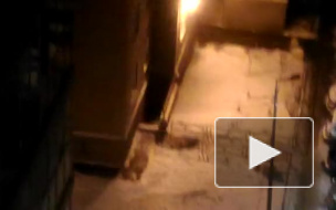 Видео: На Ленинском проспекте из окна выпал человек